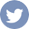 twitter-icon