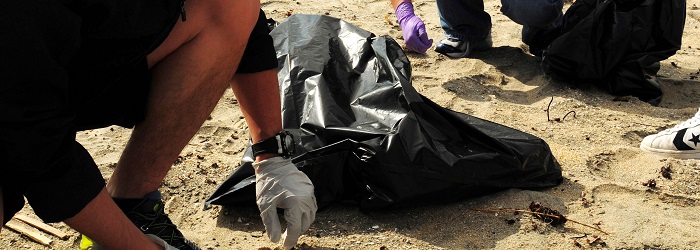 beach_cleanup_700x250