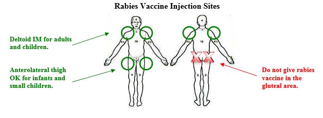 MCHD_RabiesInjectionSites