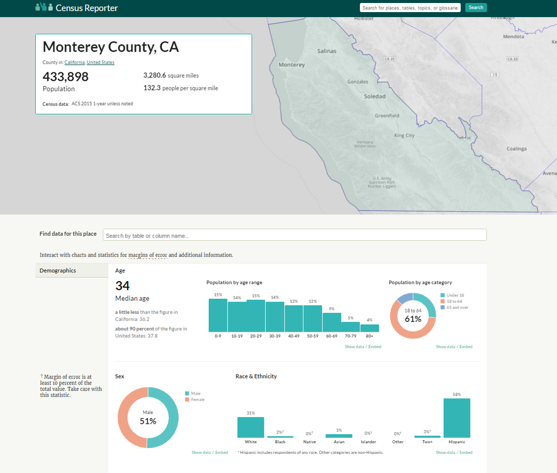 Census Report Demographics png