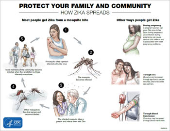 CDC_Zika-Transmission-Infographic