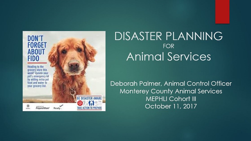 Disaster Planning for Animal Services Presentation Screenshot