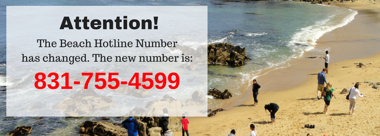 Beach Hotline Number