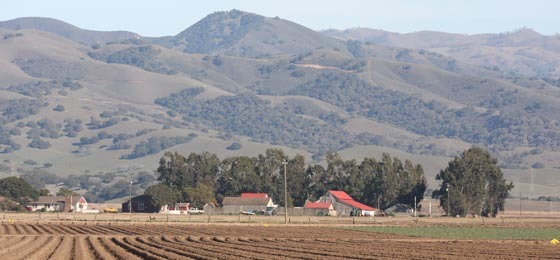 body_2008_Oliver_Hills-and-barns