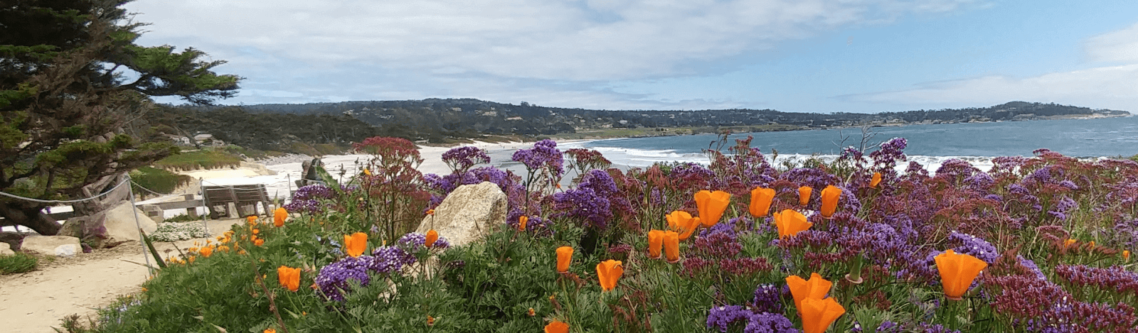 Carmel Beach