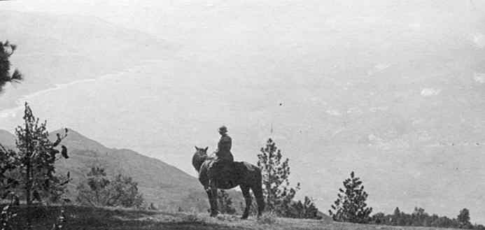 photo of a horse and rider looking towards the mountains