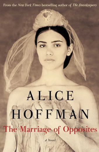 Book cover titled The Marriage of Opposites: a novel by Alice Hoffman