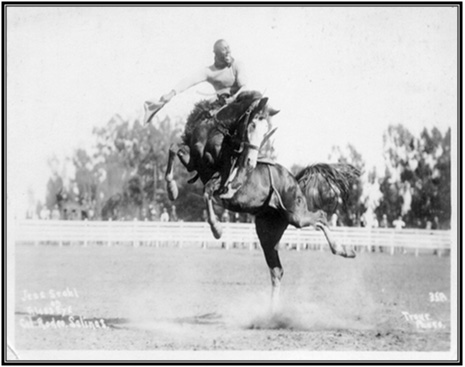 California Rodeo - Person Riding a Horse