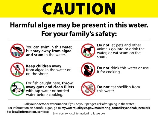 algal chart