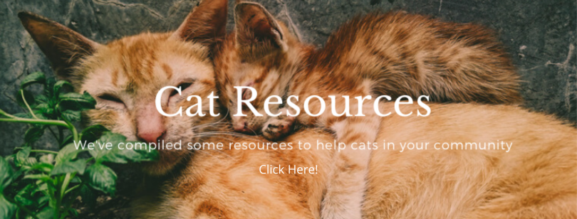 Cat Resources with click