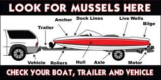 boat_trailer_check (1)