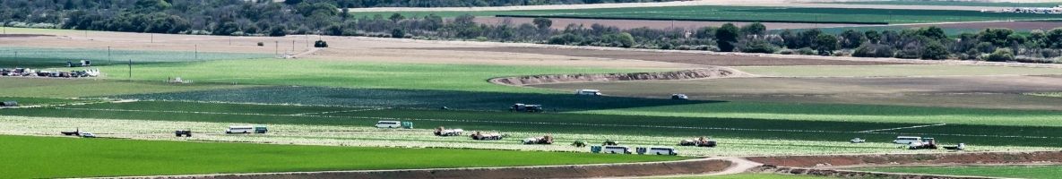 salinas Valley (2)