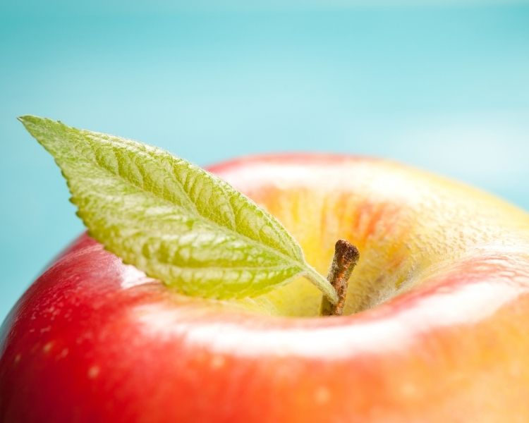 Health resources - apple image