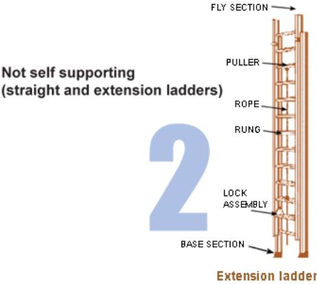 Ladder Type 2