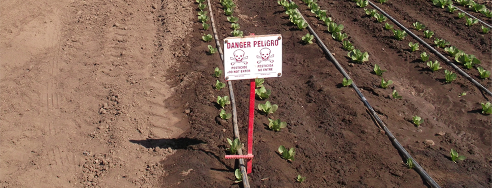 Example of a good danger sign post next to crop field