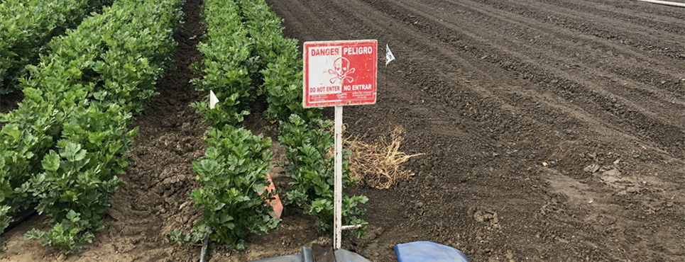 Example of a good danger sign post near crop field