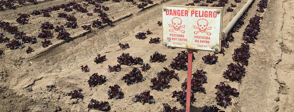 Example of a good danger sign post near crop field