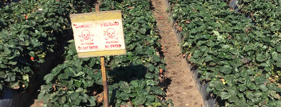 Example of a good danger sign post next to crop field