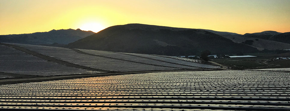 Crop fields along a hillside