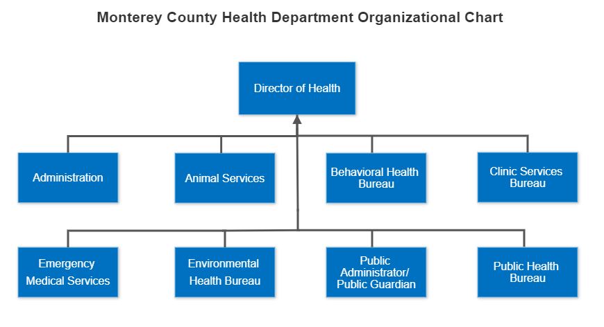 Org Chart