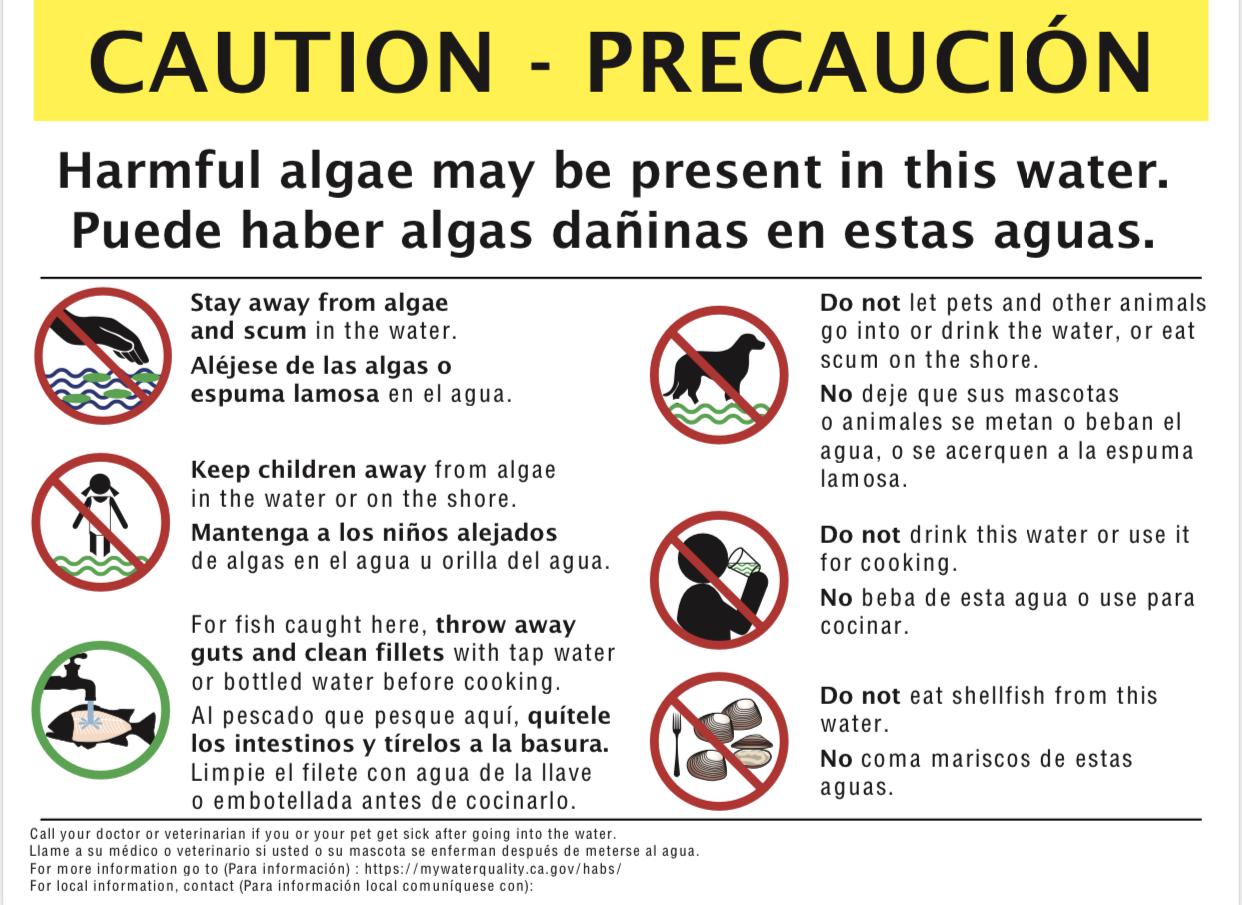 Algae Bloom Precautions