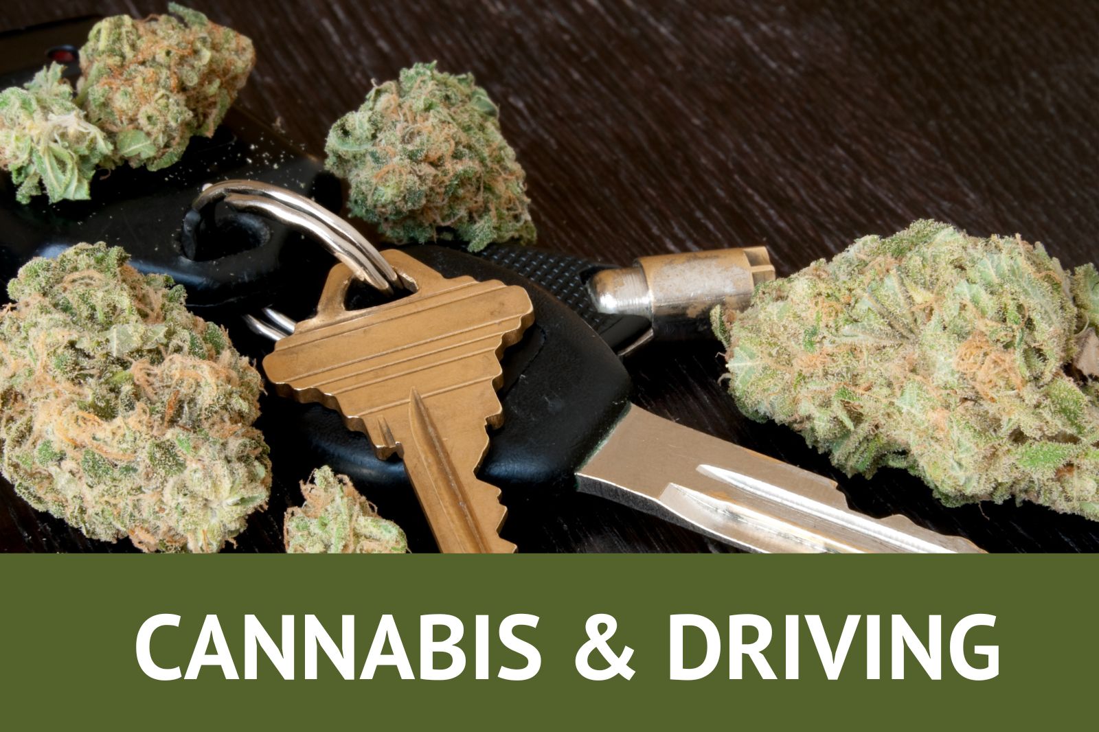 CANNABIS & DRIVING