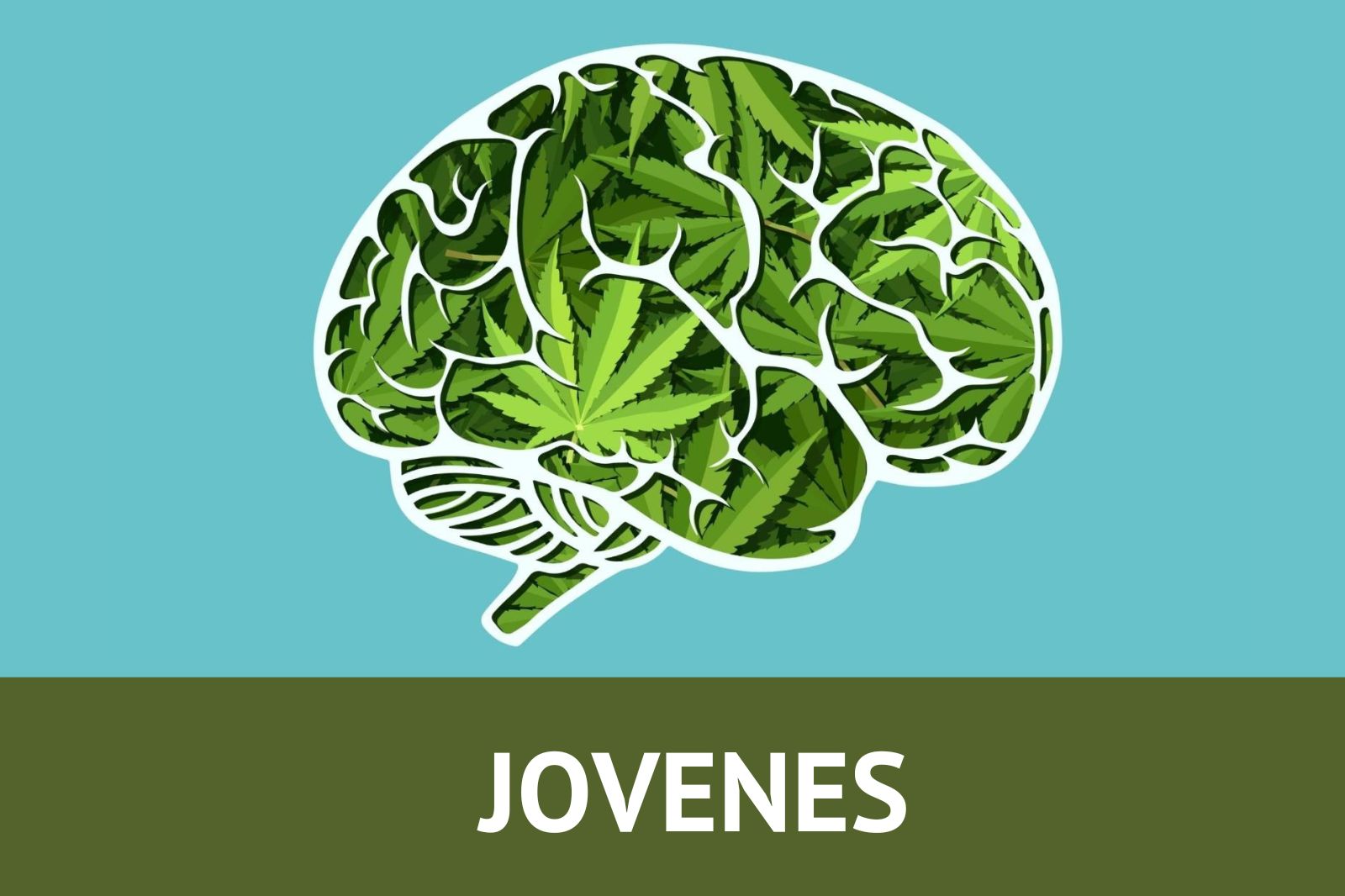 JOVENES