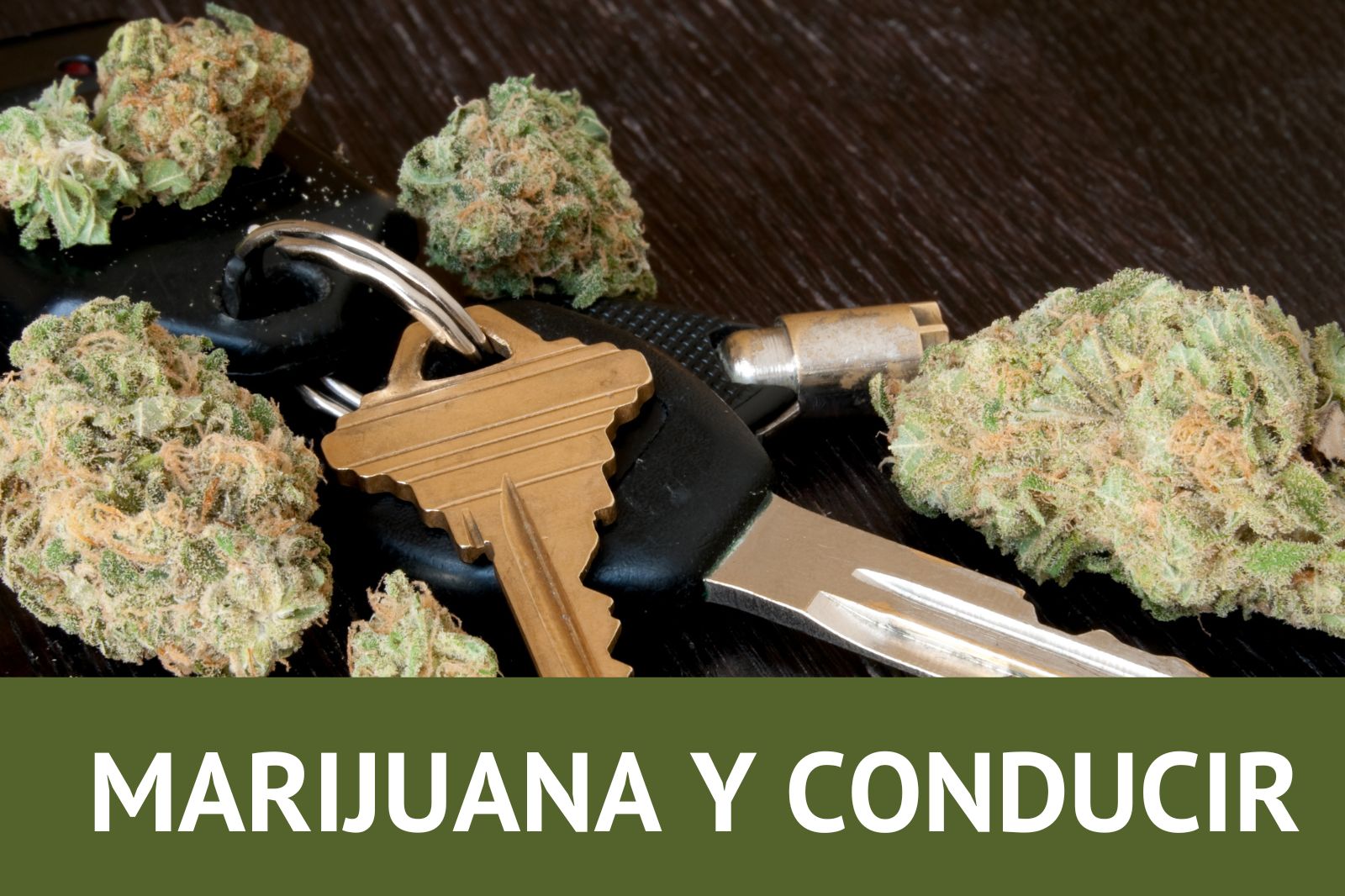 MARIJUANA Y CONDUCIR