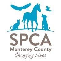 SPCA