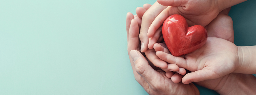 panoramic photo of hands holding a red heart shape