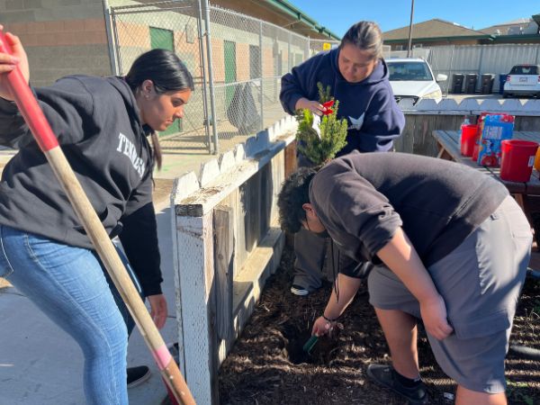 Group of teens outside gardening