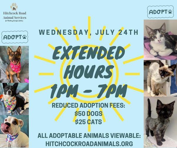 Hitchcock Road Animal Services Extended Hours Wednesday July 24th 1 pm to 7 pm