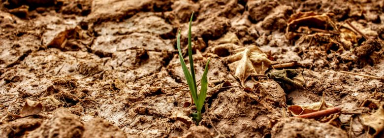 Drought Advisory group