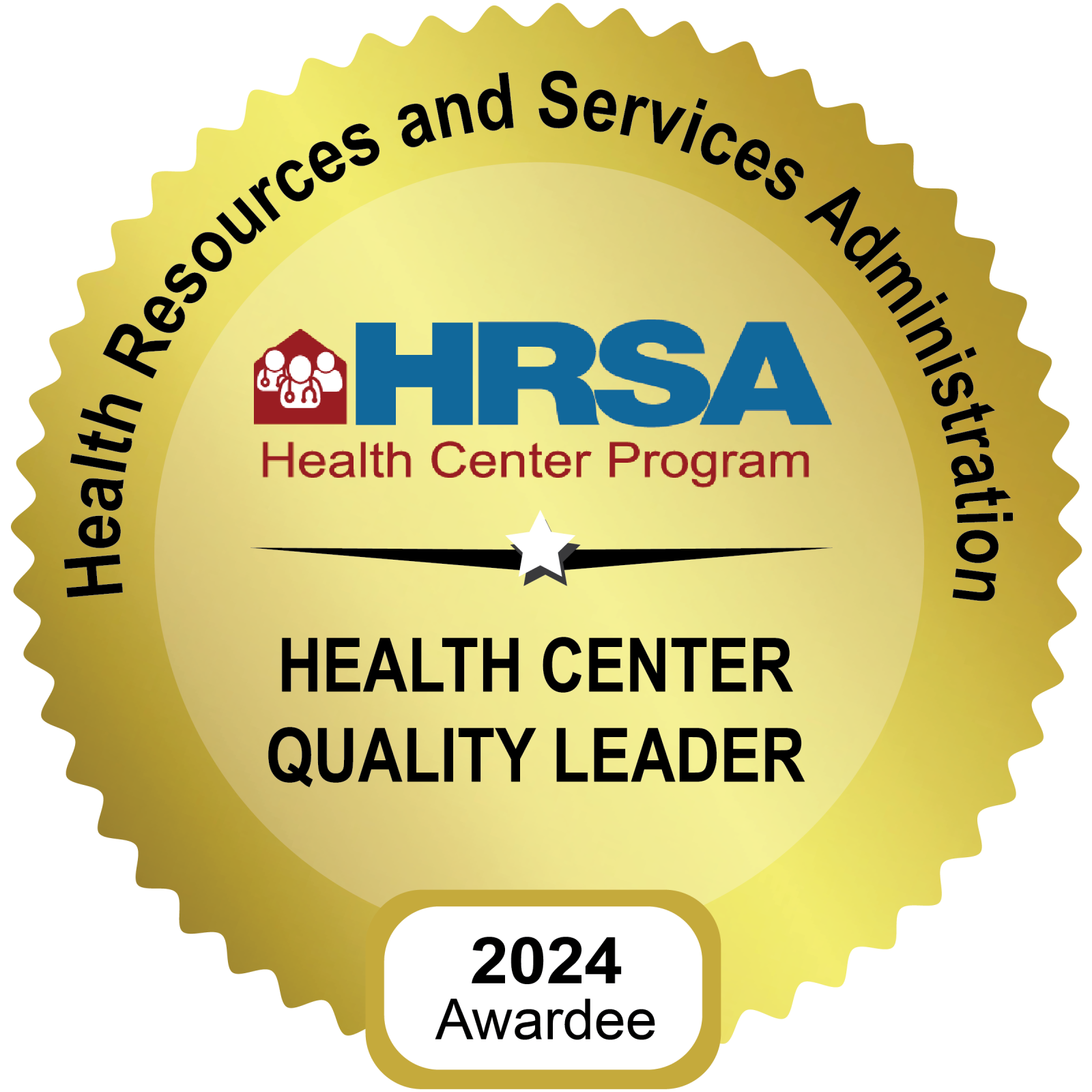 Advancing HIT For Quality, badge, 2024