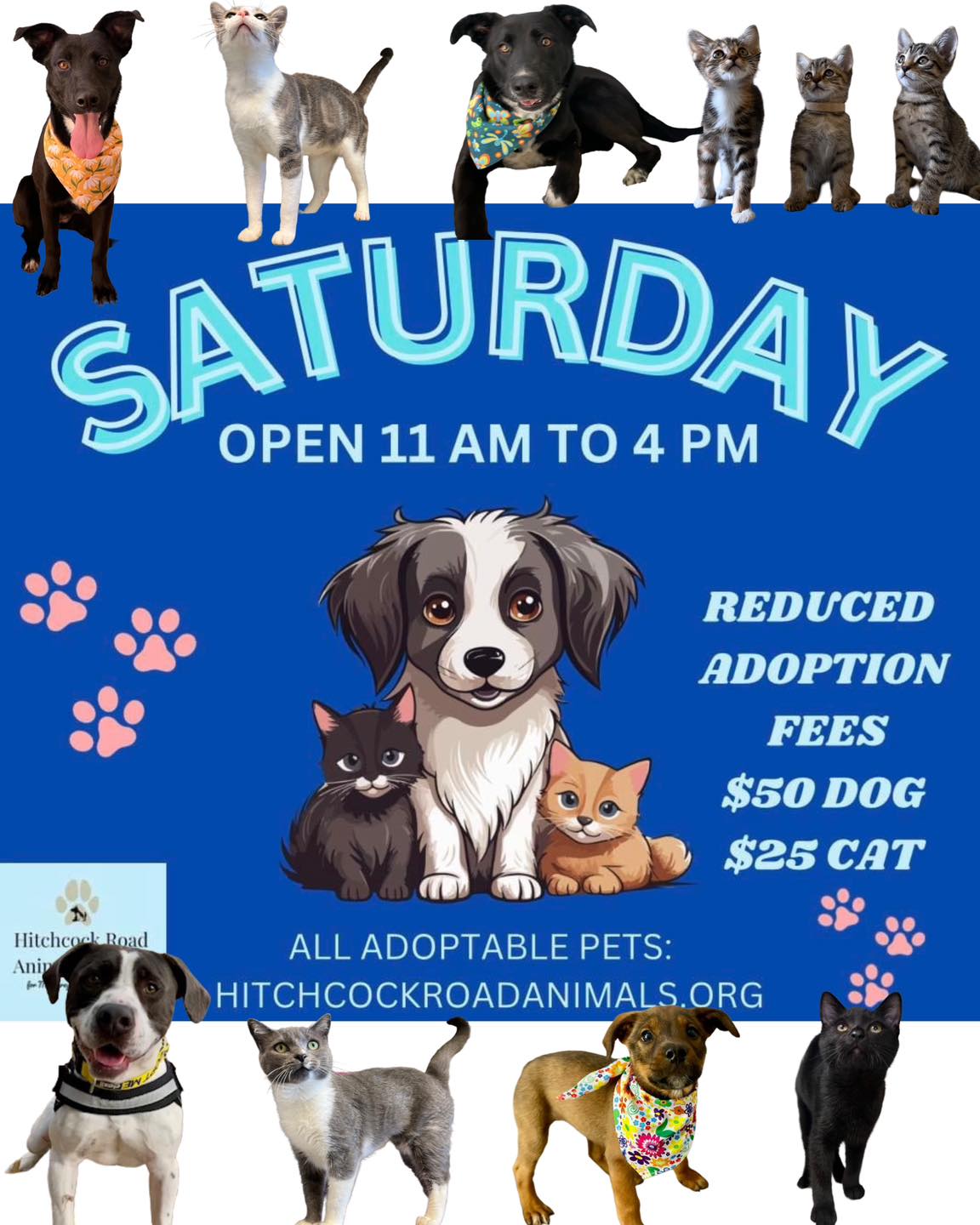 Saturday, October 26th Hitchcock Road Animal Services Specials