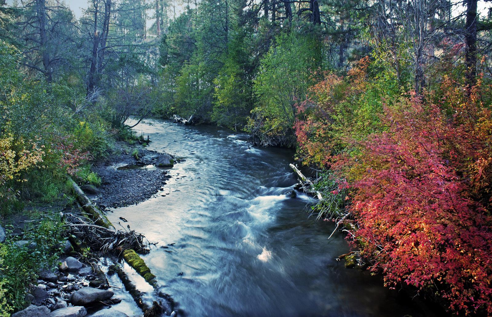 Autumn River