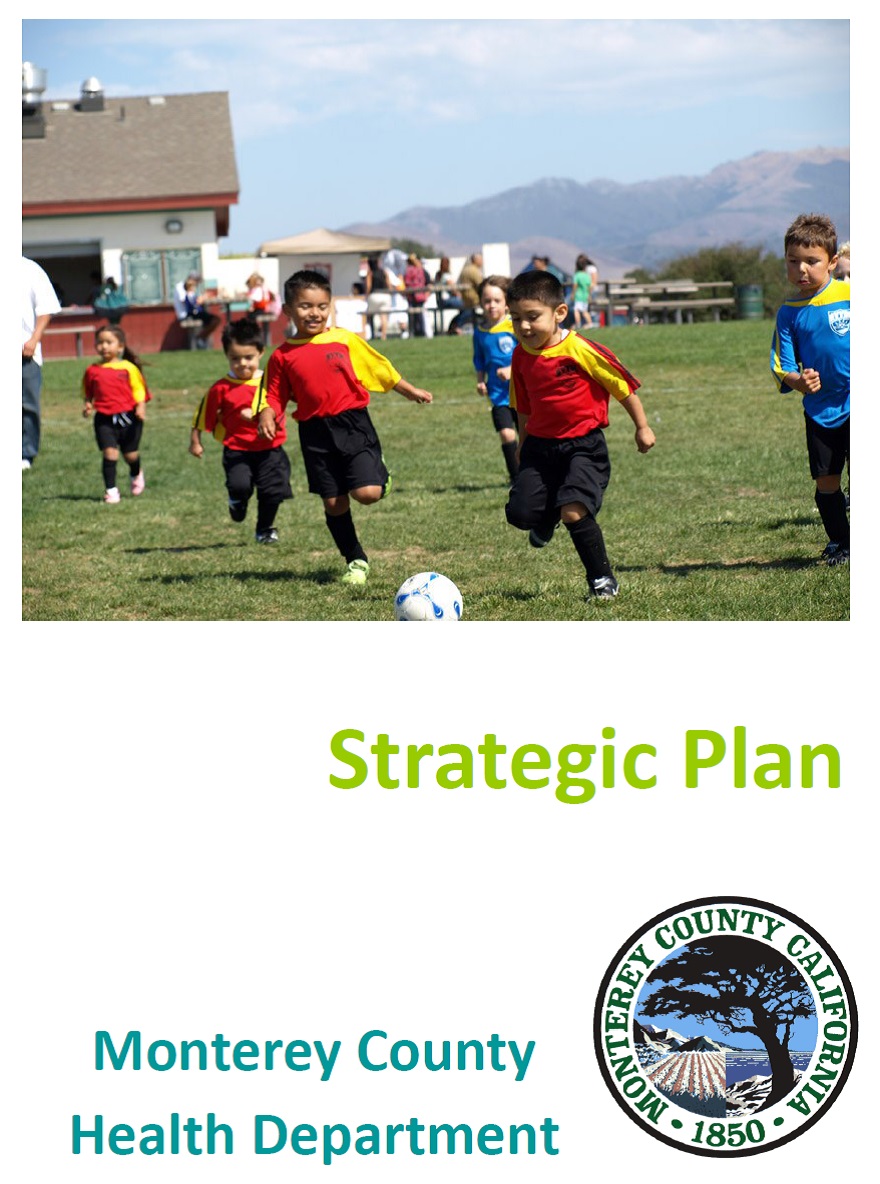 Click to read strategic plan